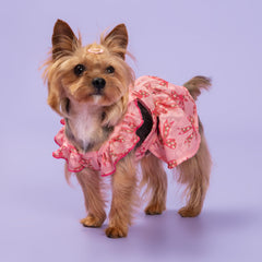 Fitwarm pink bowknot dress for small dogs; perfect for daily outings and photos.