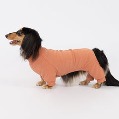 Fitwarm fleece closeup reveals soft, stretchy fabric for comfy all-day wear on small dogs.
