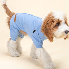 Fitwarm dog pajamas on a small dog demonstrating snug warmth