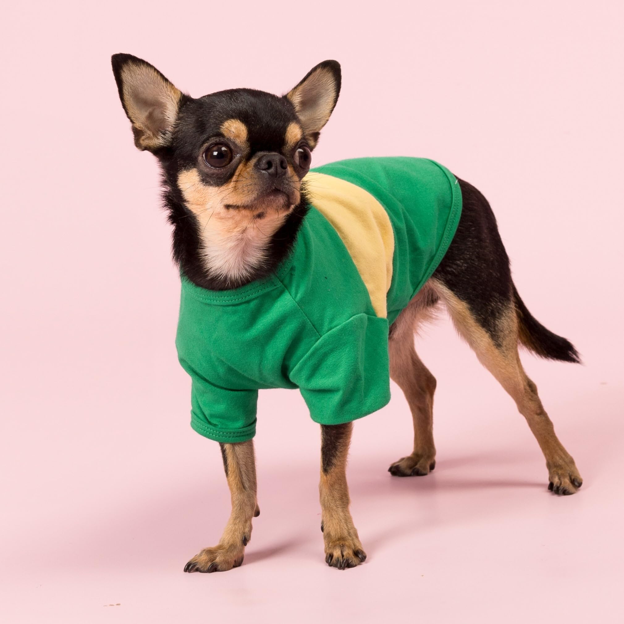 Fitwarm brown color-block dog shirt stylish everyday wear.