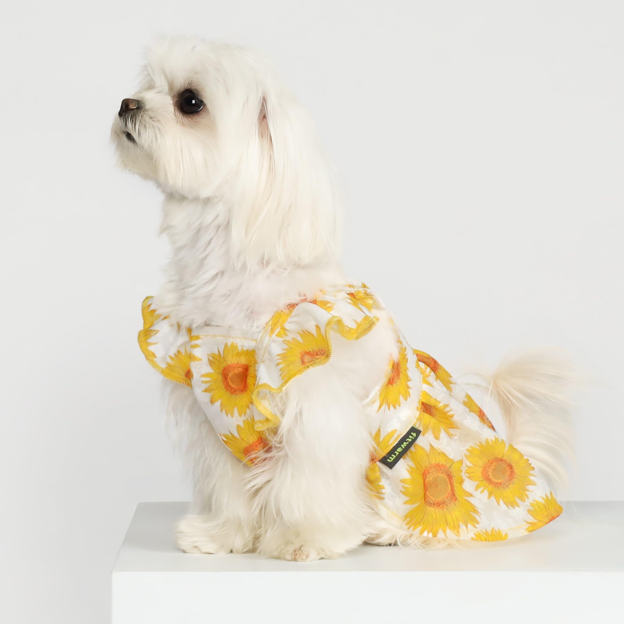 Fitwarm dog sunflower dress back view, sunflower-print for cheerful sunny days.