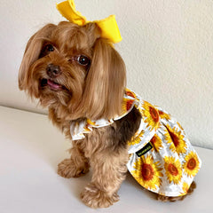 Fitwarm dog sunflower dress closeup lace fabric, soft and breathable polyester.