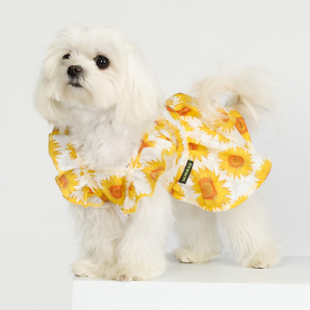 Fitwarm dog sunflower dress side view with ruffle sleeves, comfortable daily wear.