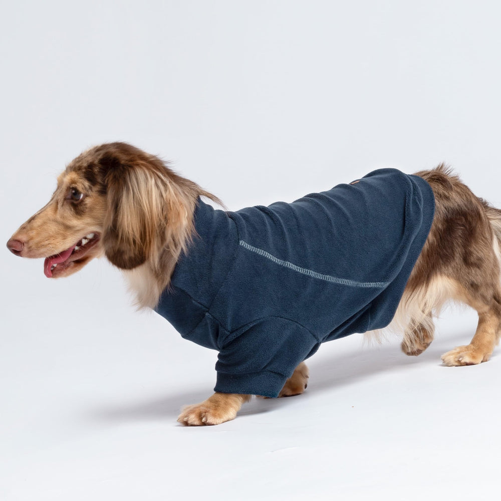 Fitwarm dog sweater turtleneck side view chic warmth for cold outings.