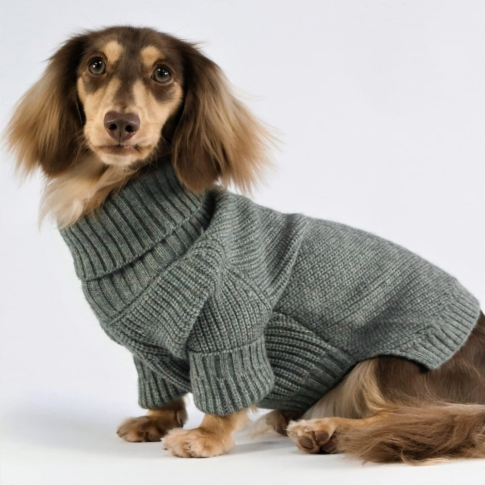 Fitwarm dog turtleneck sweater back view showcasing classic heather knit and style.