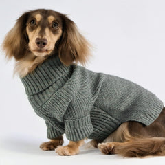 Fitwarm dog turtleneck sweater back view showcasing classic heather knit and style.