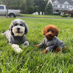 Fitwarm dog turtleneck sweater side view ideal for snug fit during chilly walks.