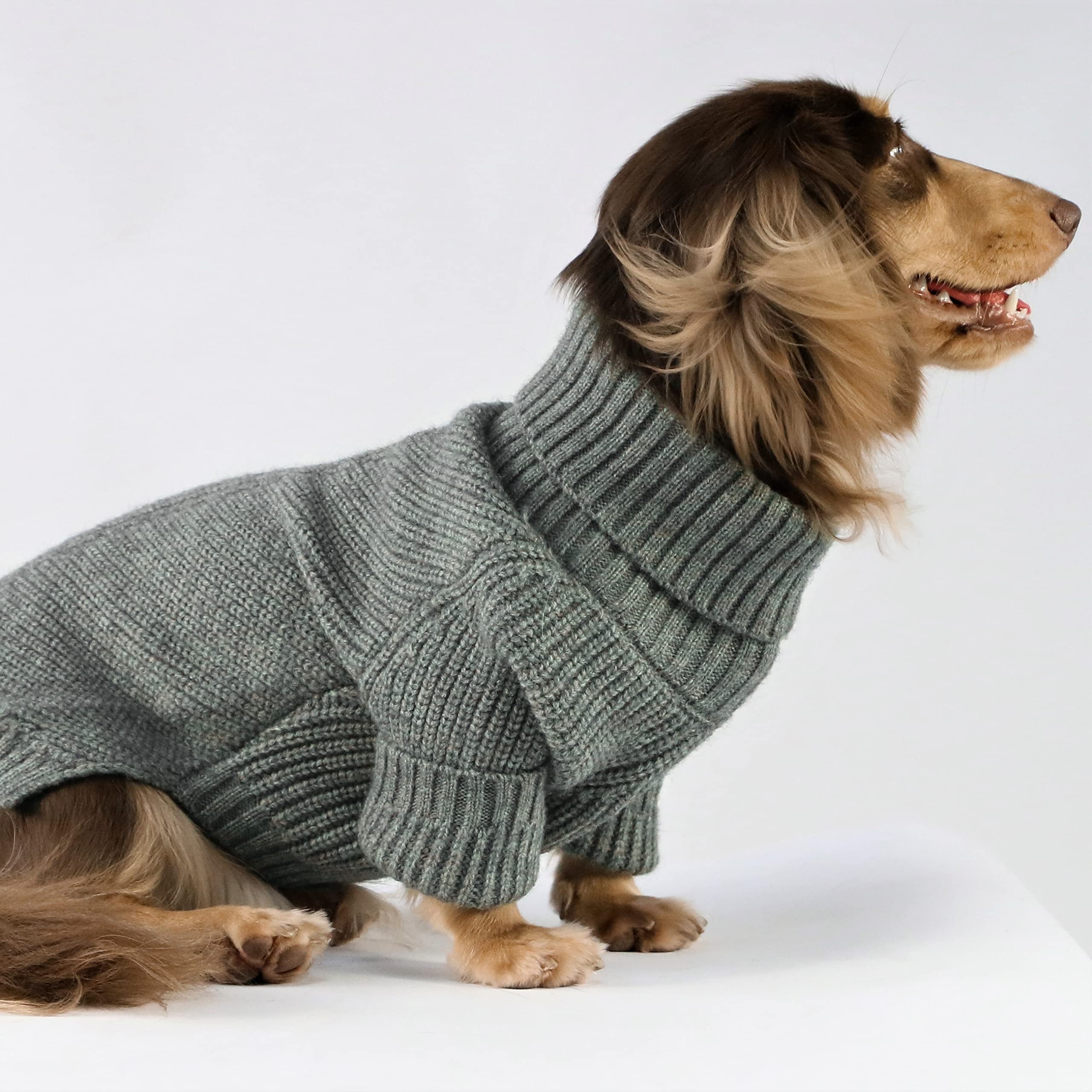 Fitwarm dog-turtleneck-sweater back view highlights warm, snug fit