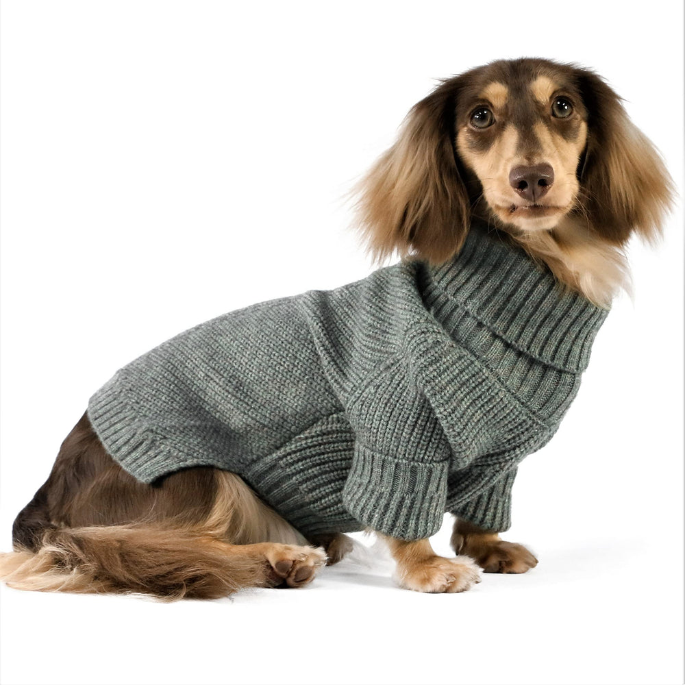 Fitwarm dog-turtleneck-sweater front view shows cozy warmth for chilly walks