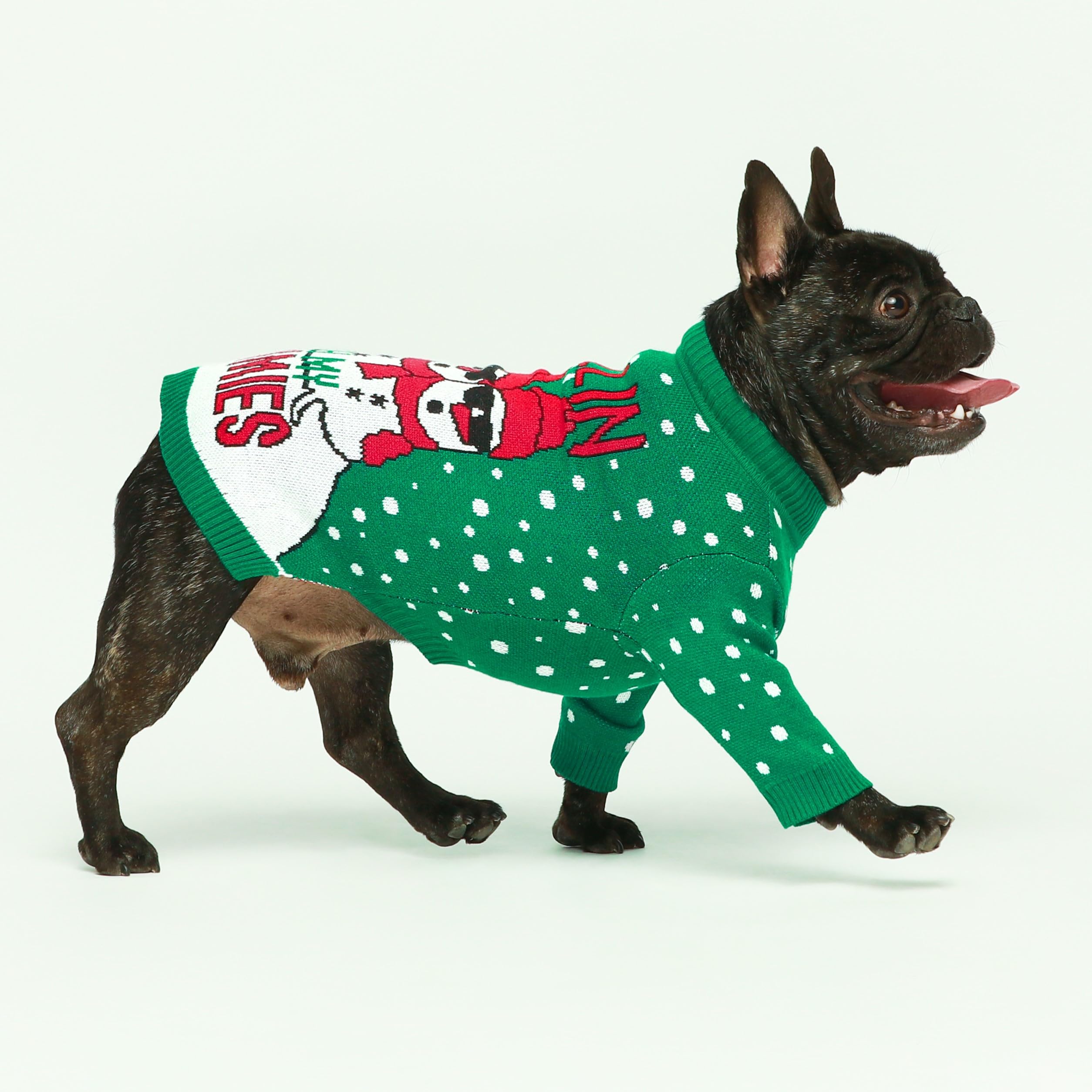 Fitwarm dog wearing sweater on a winter walk boosts warmth and cuteness.