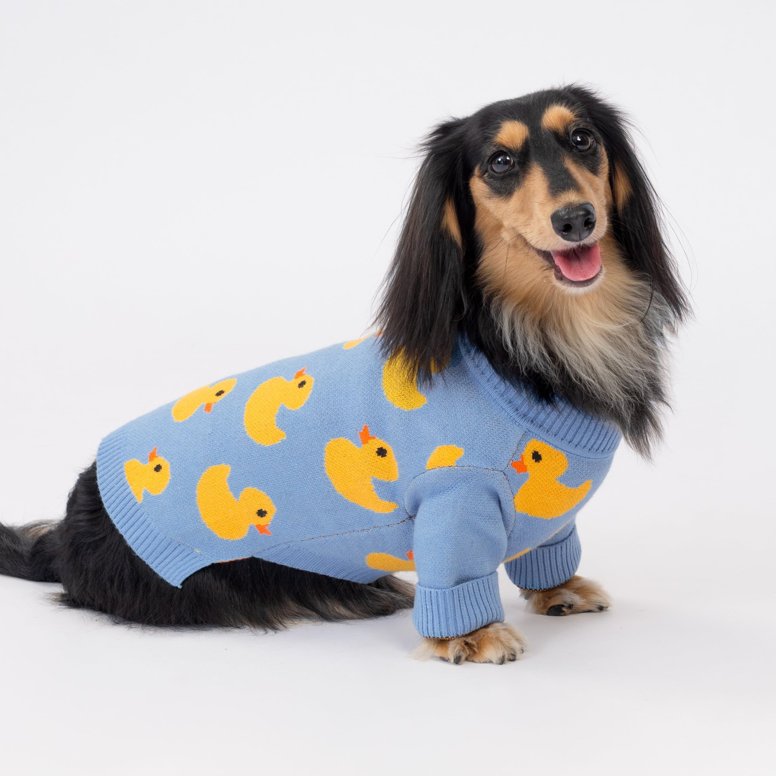 Fitwarm duck-pattern knit blue with ribbed collar for secure fit