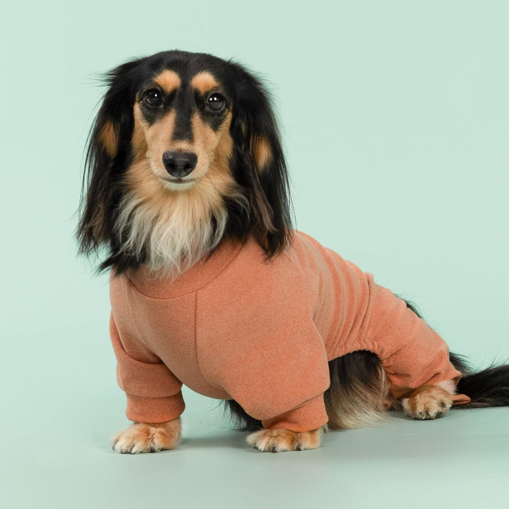 Fitwarm easy-on-off design on dog wearing pajamas supports comfortable potty breaks.