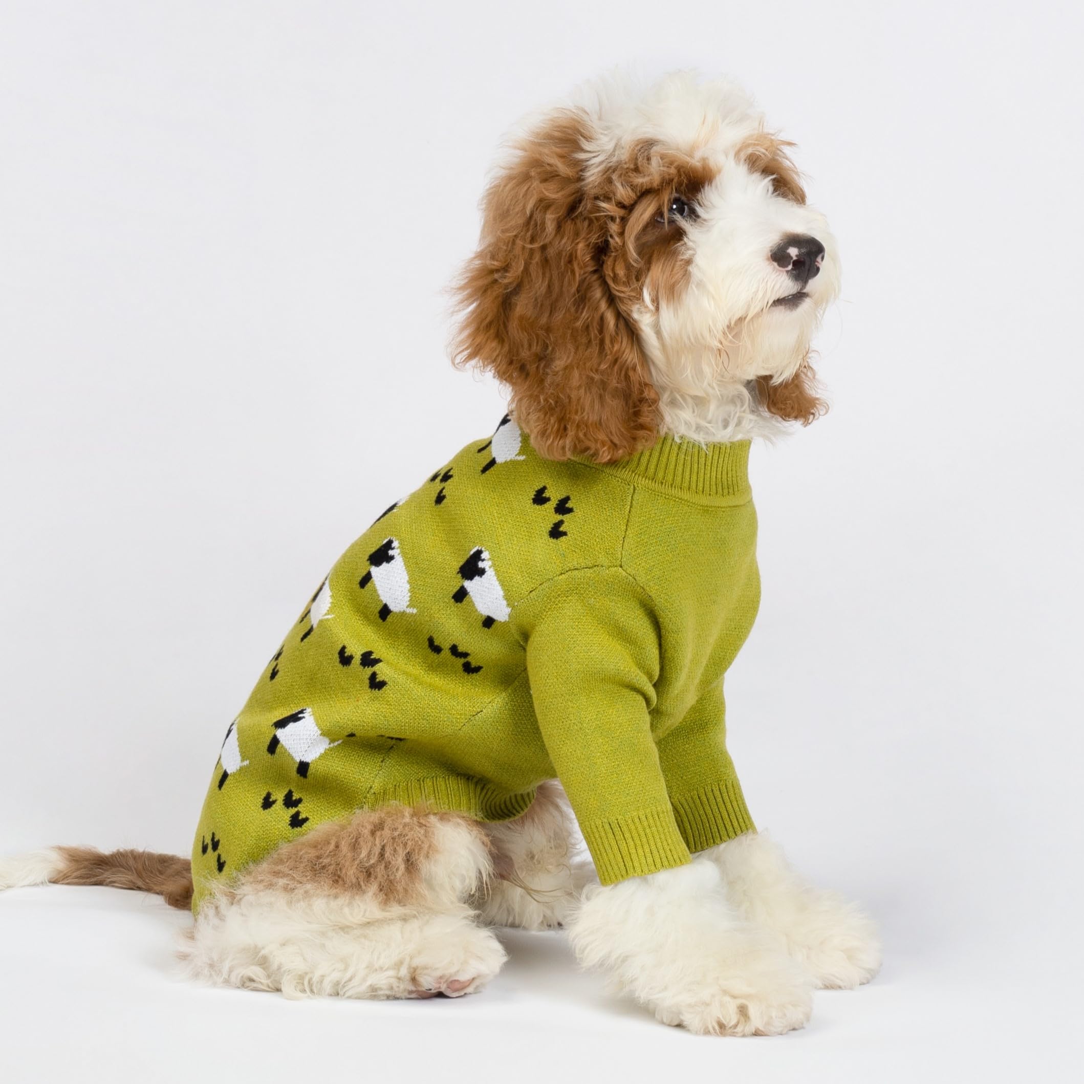 Fitwarm funny sheep dog sweater back view offers cozy coverage.