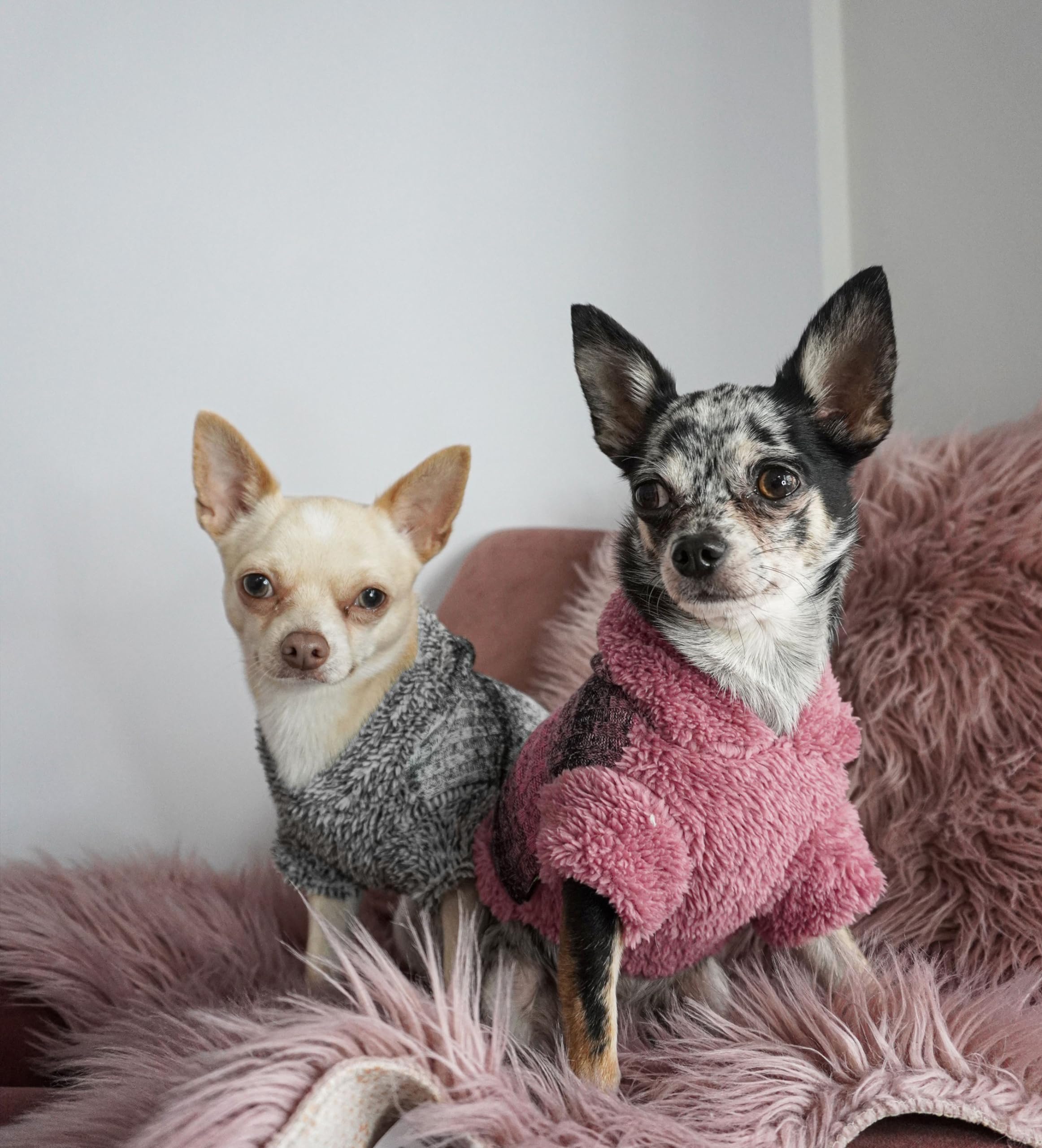 Fitwarm Fuzzy Dog Sweater back view shows full coverage for small dogs.