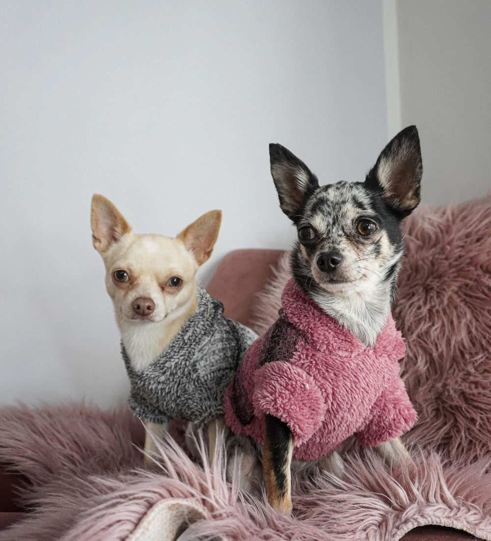 Fitwarm Fuzzy Dog Sweater back view shows full coverage for small dogs.