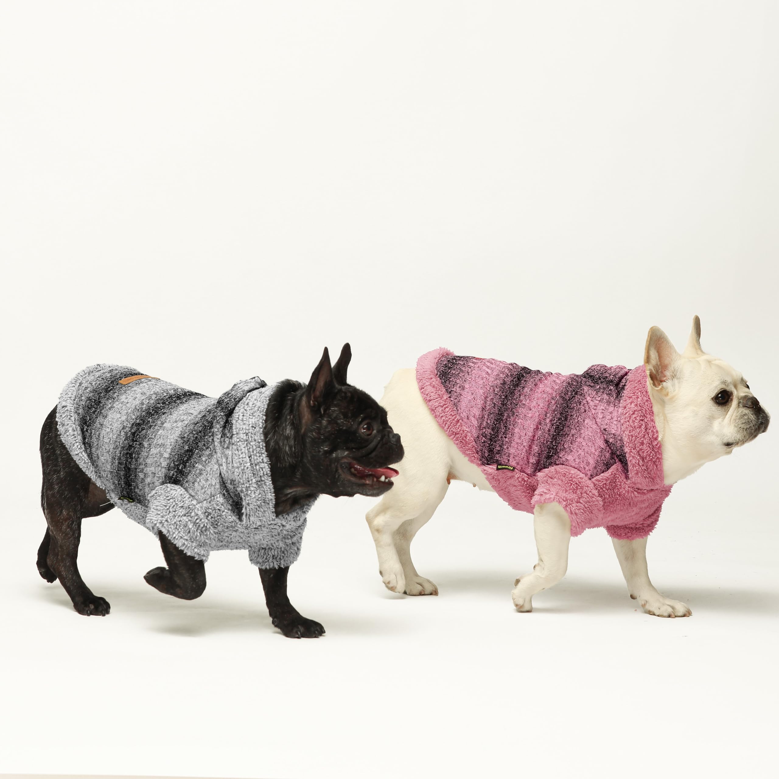 Fitwarm Fuzzy Dog Sweater during puppy walk demonstrates versatile cold-weather wear.