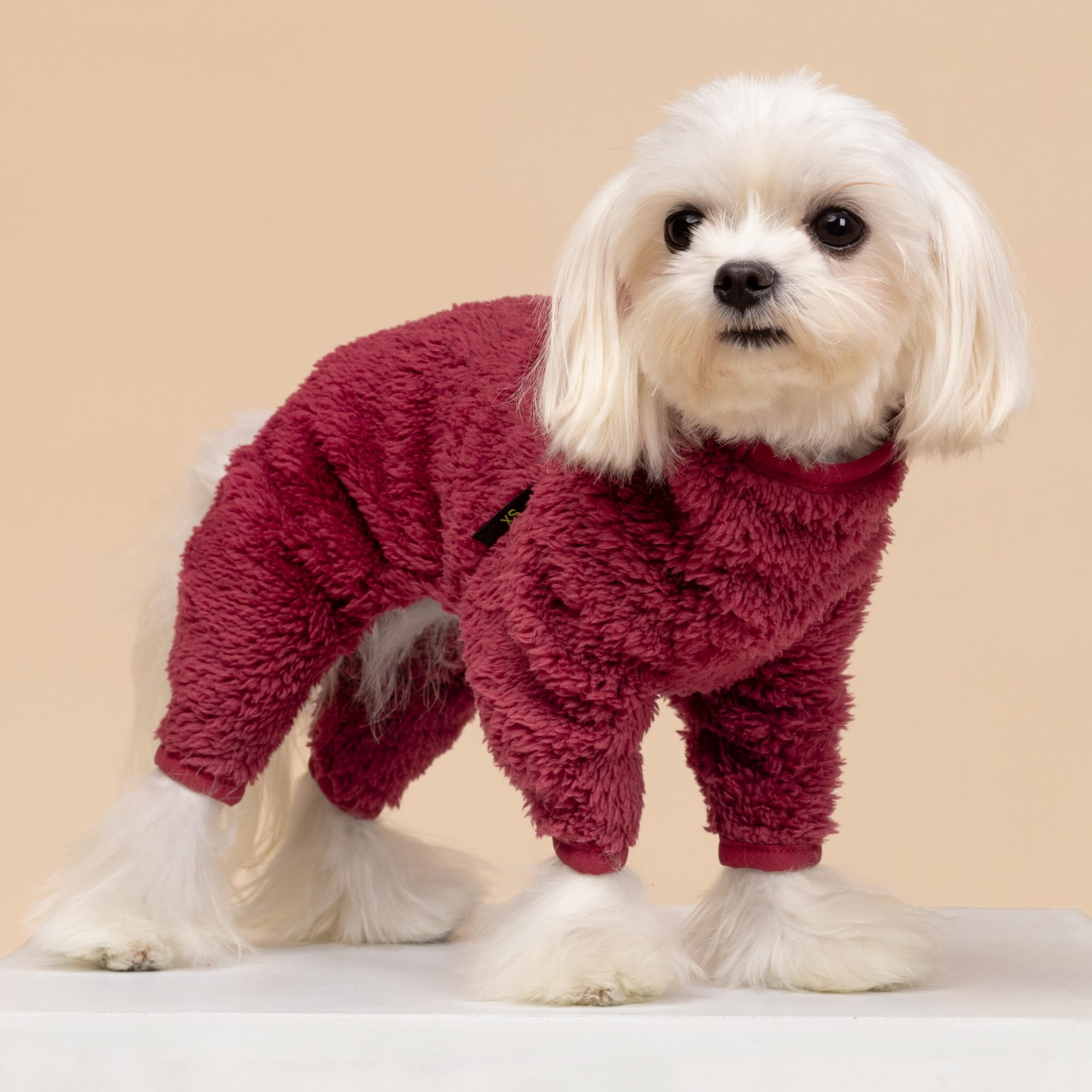 Fitwarm maroon small dog wearing fleece jumpsuit for winter comfort and style