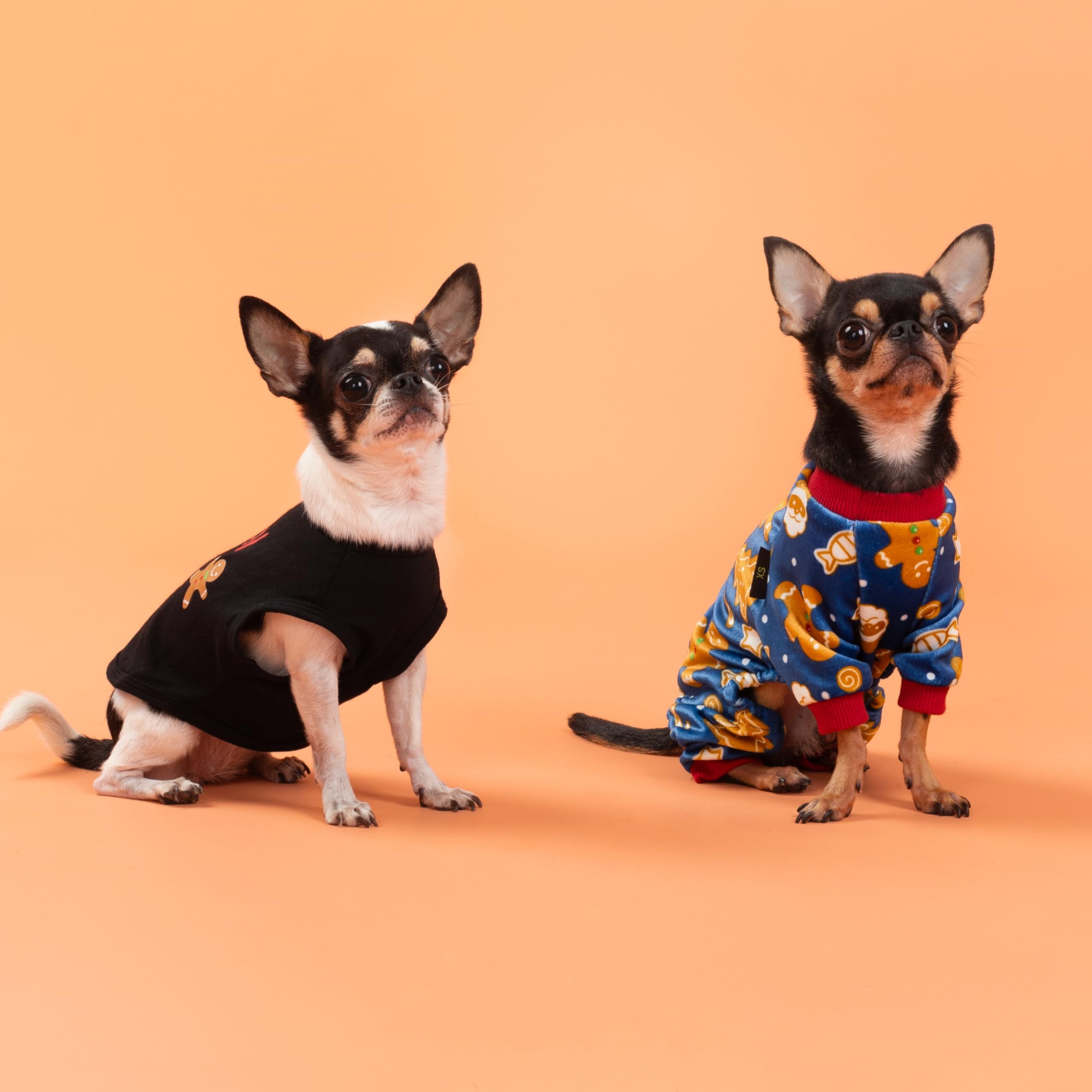 Fitwarm Gingerbread Man Dog Pajamas during playtime — cozy, movable for small dogs.