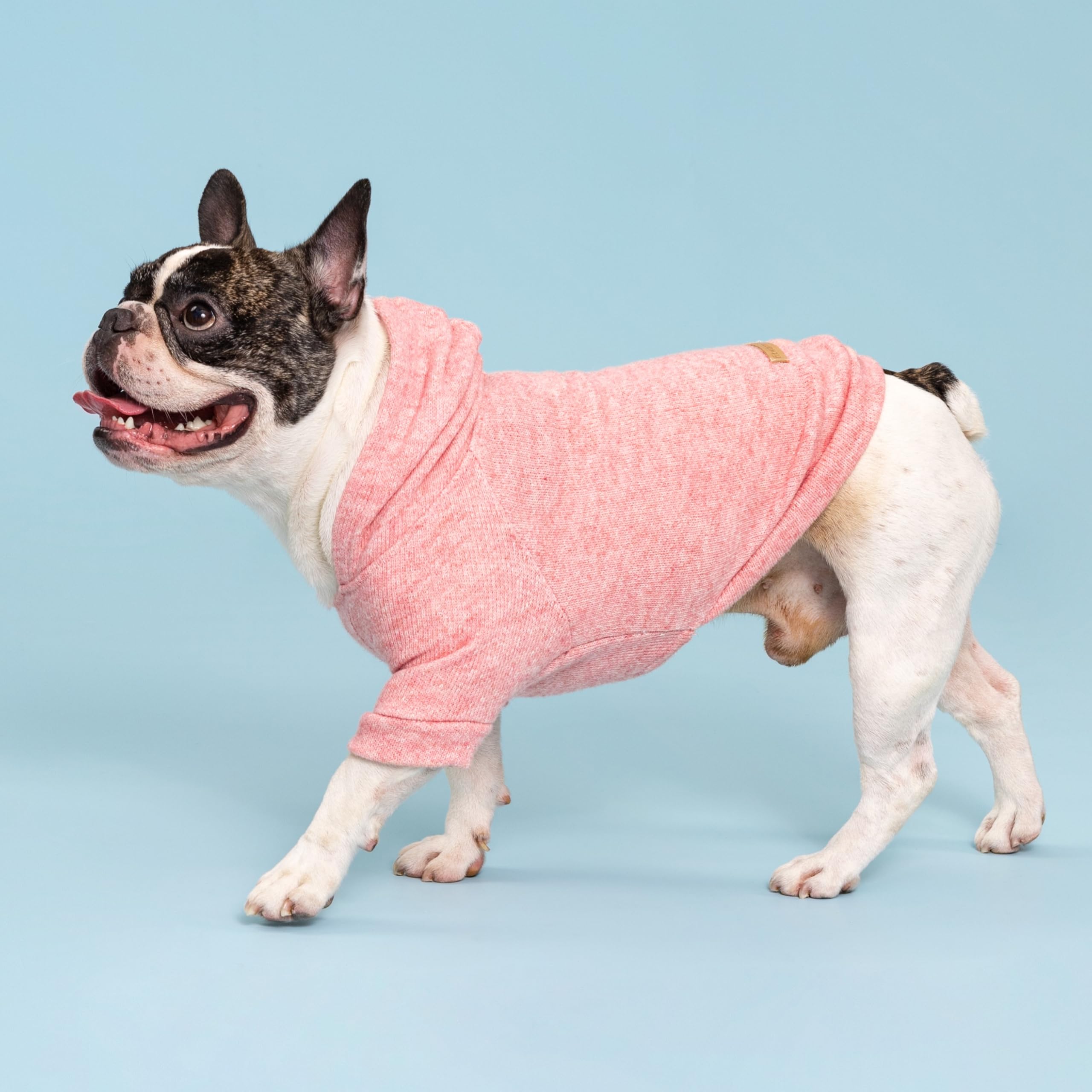 Fitwarm knitted dog hoodie sweater perfect for photoshoots