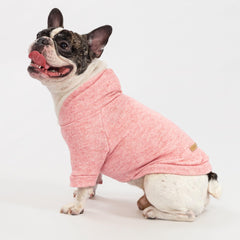Fitwarm knitted dog hoodie sweater small dog on a walk for everyday warmth