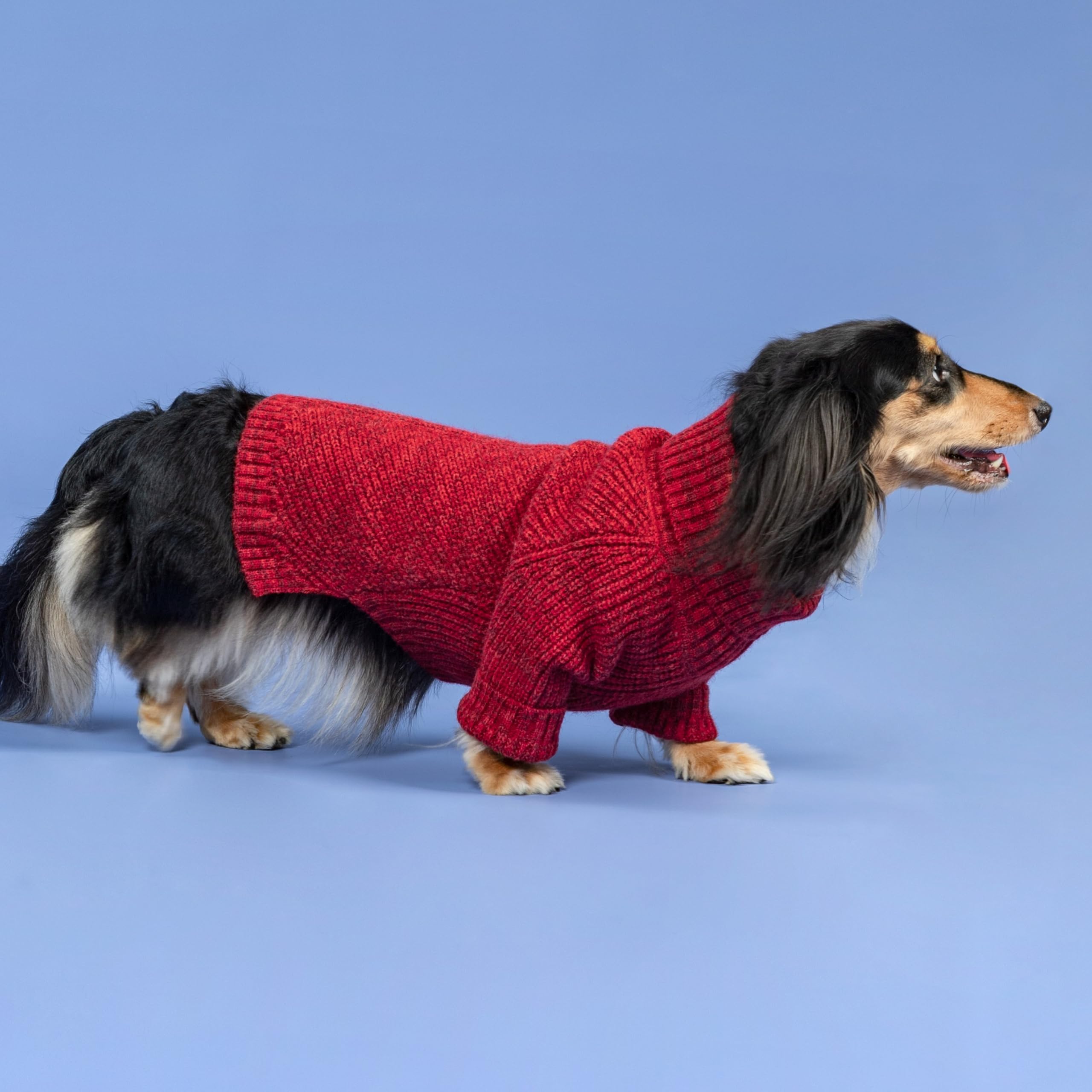 Fitwarm knitted turtleneck dog sweater small dog fit suitable for petite breeds