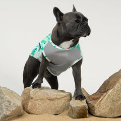 Fitwarm lightweight cooling vest for dogs shows breathable comfort.