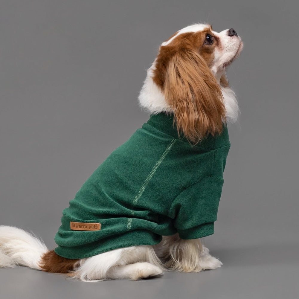Fitwarm olive-green dog sweater on pet emphasizes warm fleece for chilly days.