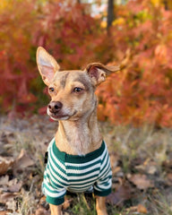 Fitwarm pijama para perro, ajuste cómodo y fácil de poner