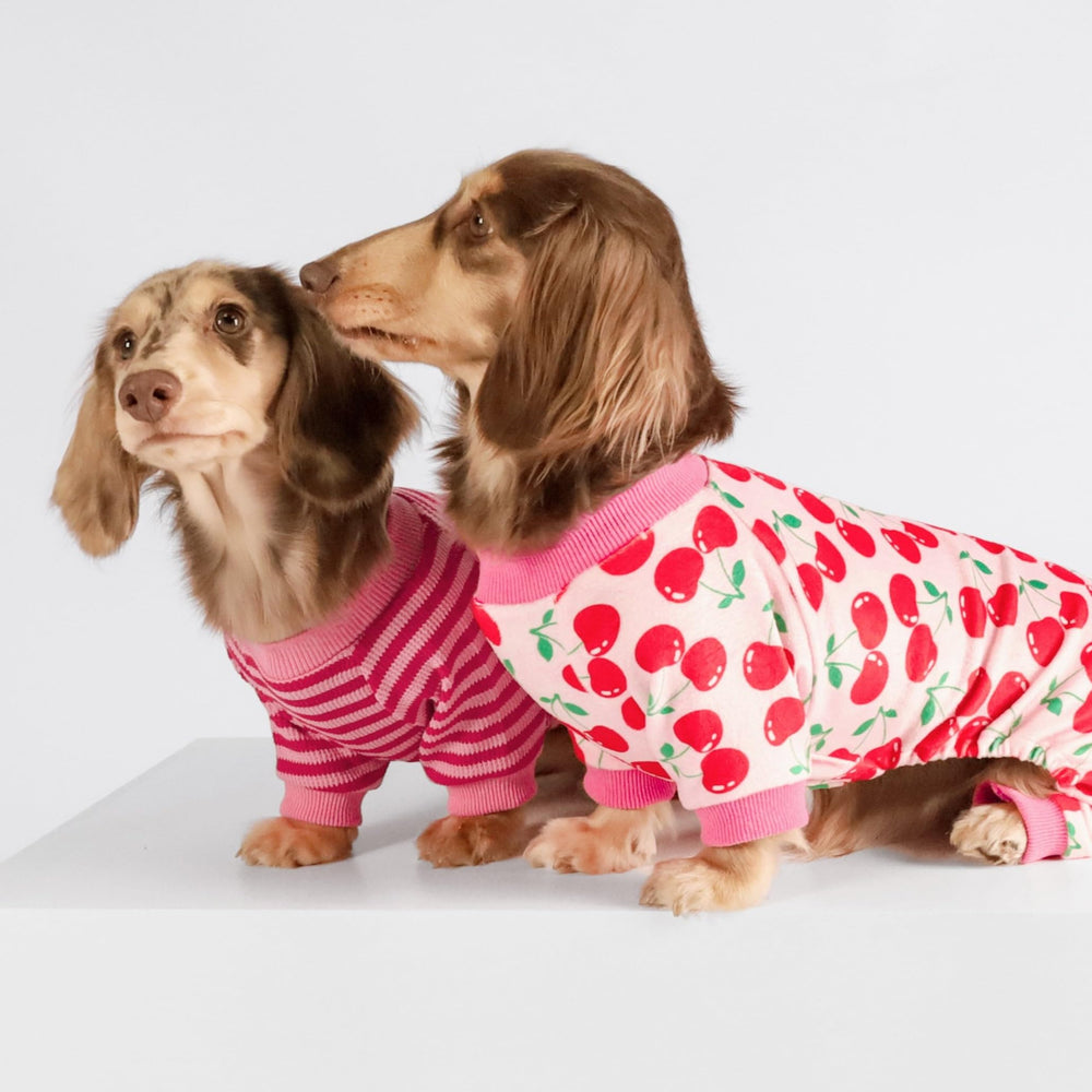 Fitwarm pijama-perro-cereza-con-pies, ideal para paseos fríos y protegidos.