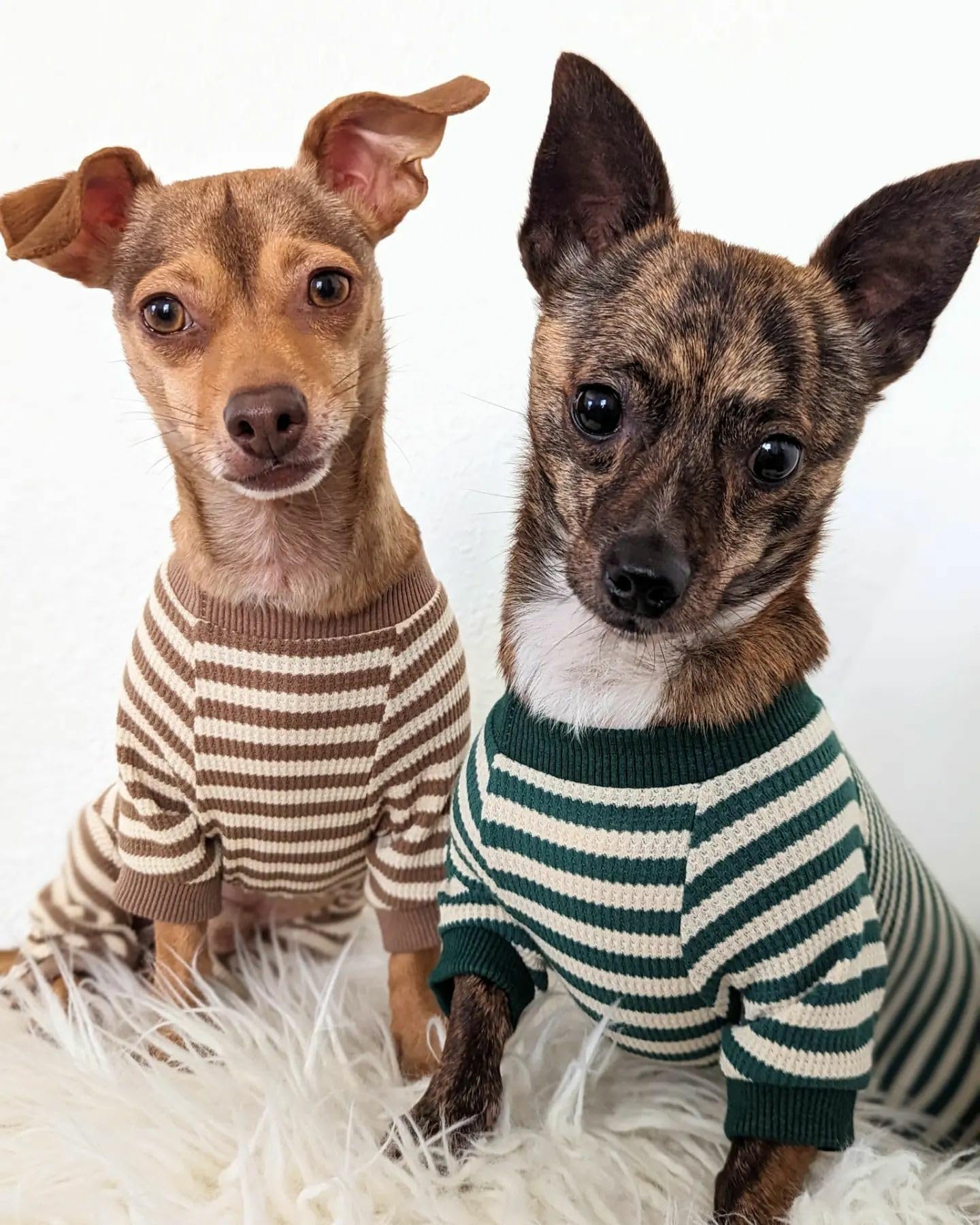 Fitwarm pijama para perro con pies, ideal para climas fríos