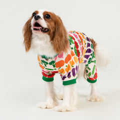 Pijama Fitwarm con pies integrados para perros pequeños.