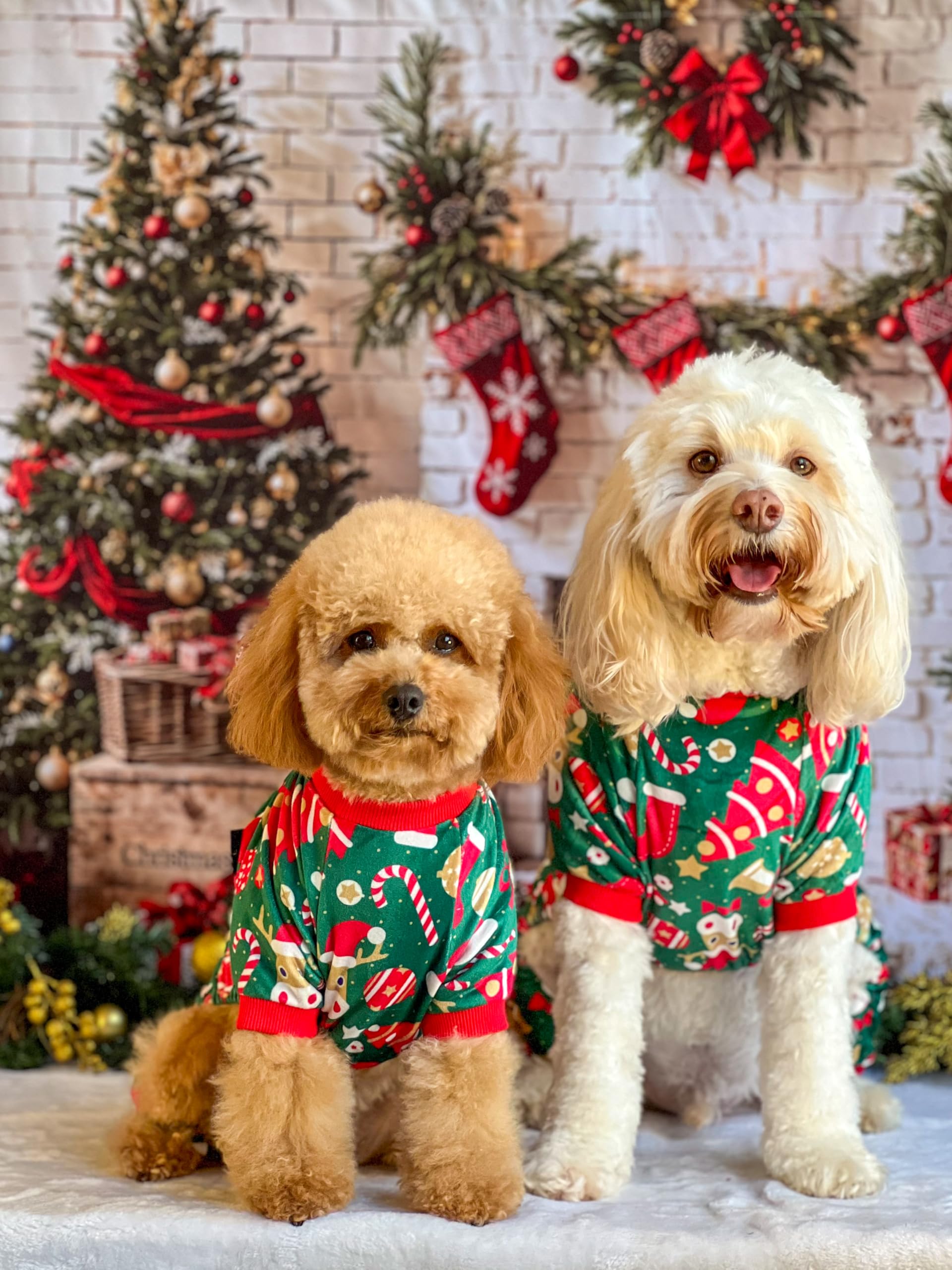 Fitwarm pijama terciopelo verde para perro pequeño, abriga sin abultar