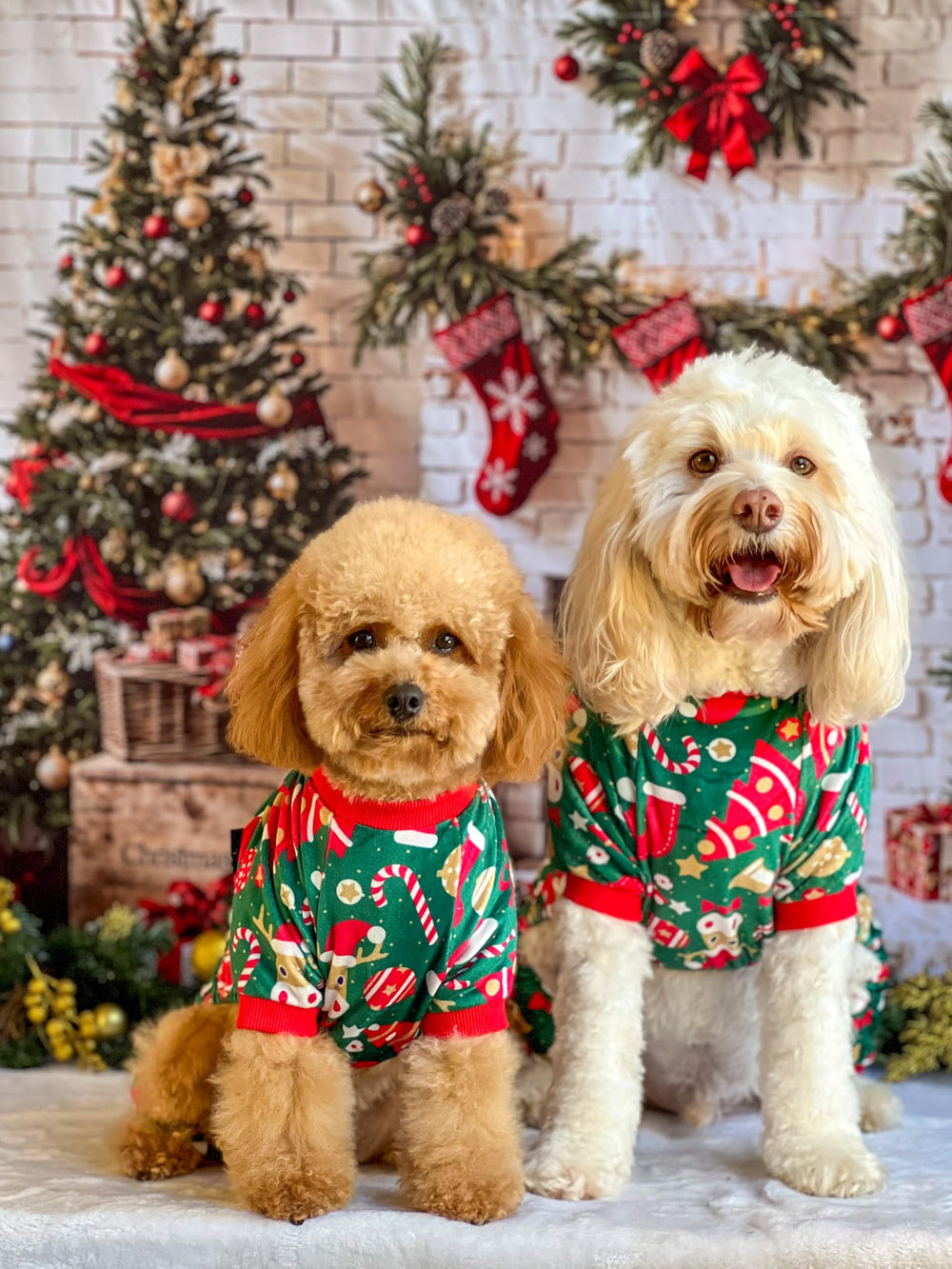 Fitwarm pijama terciopelo verde para perro pequeño, abriga sin abultar