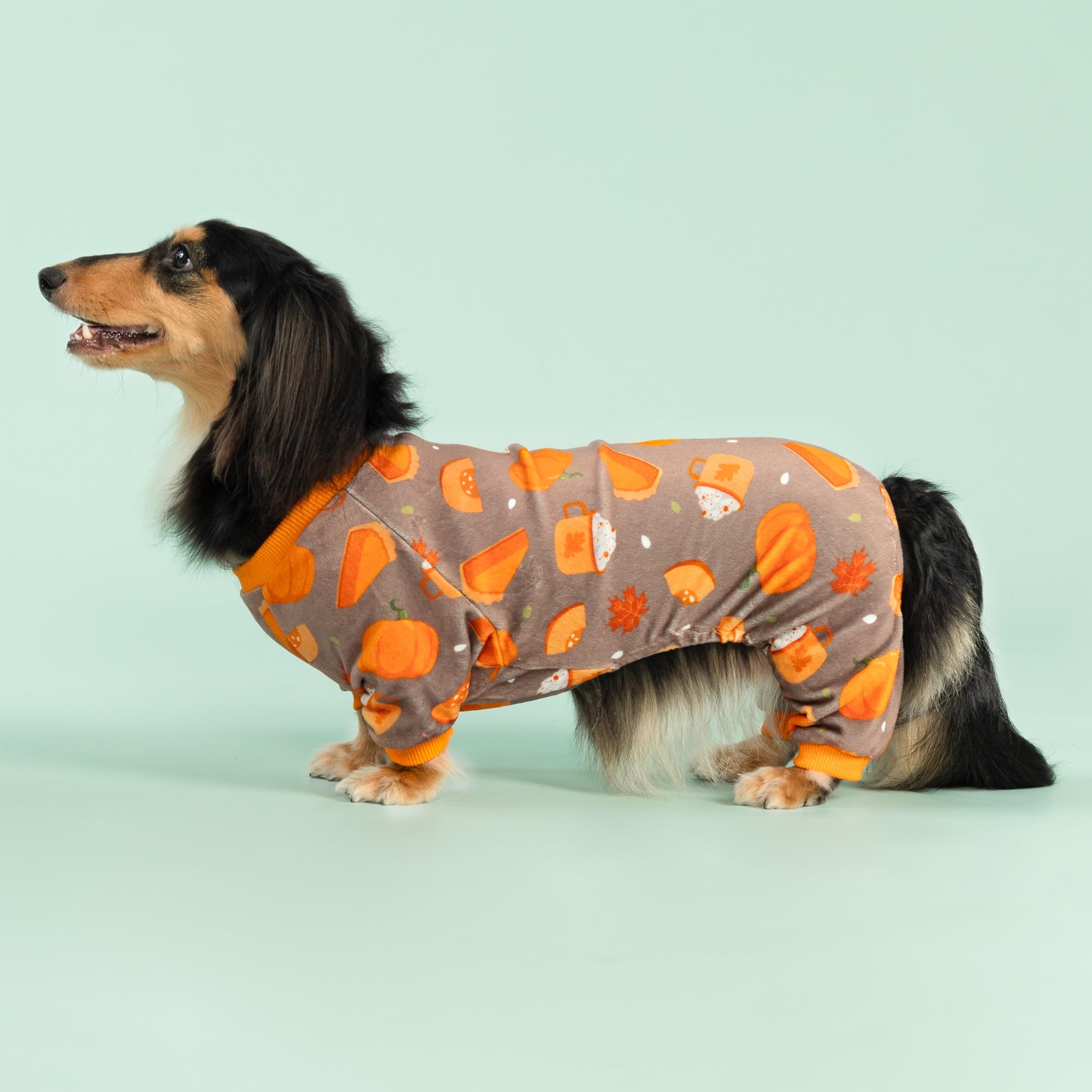 Fitwarm pumpkin dog pajamas back view shows four-leg coverage for lounging and play