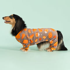 Fitwarm pumpkin dog pajamas back view shows four-leg coverage for lounging and play