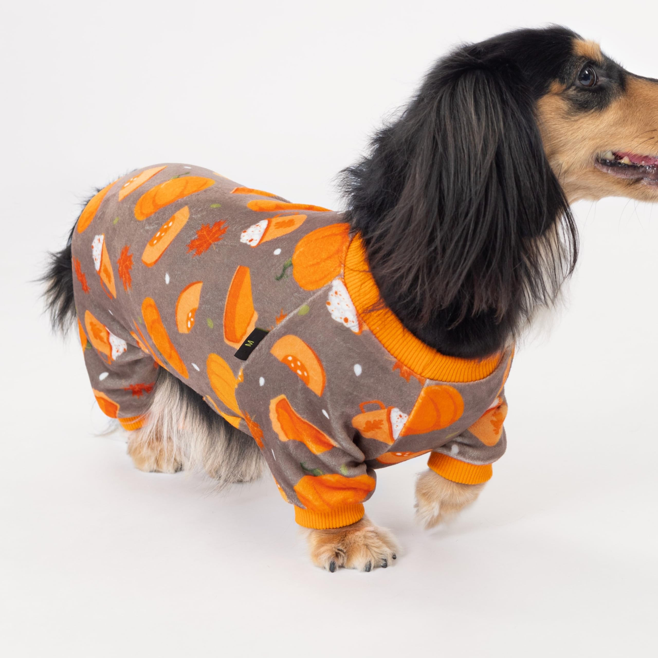Fitwarm pumpkin dog pajamas on-dog wearing demonstrates easy on/off and comfortable mobility