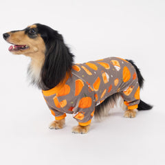 Fitwarm pumpkin dog pajamas pattern detail closeup reveals pumpkins and autumn leaves