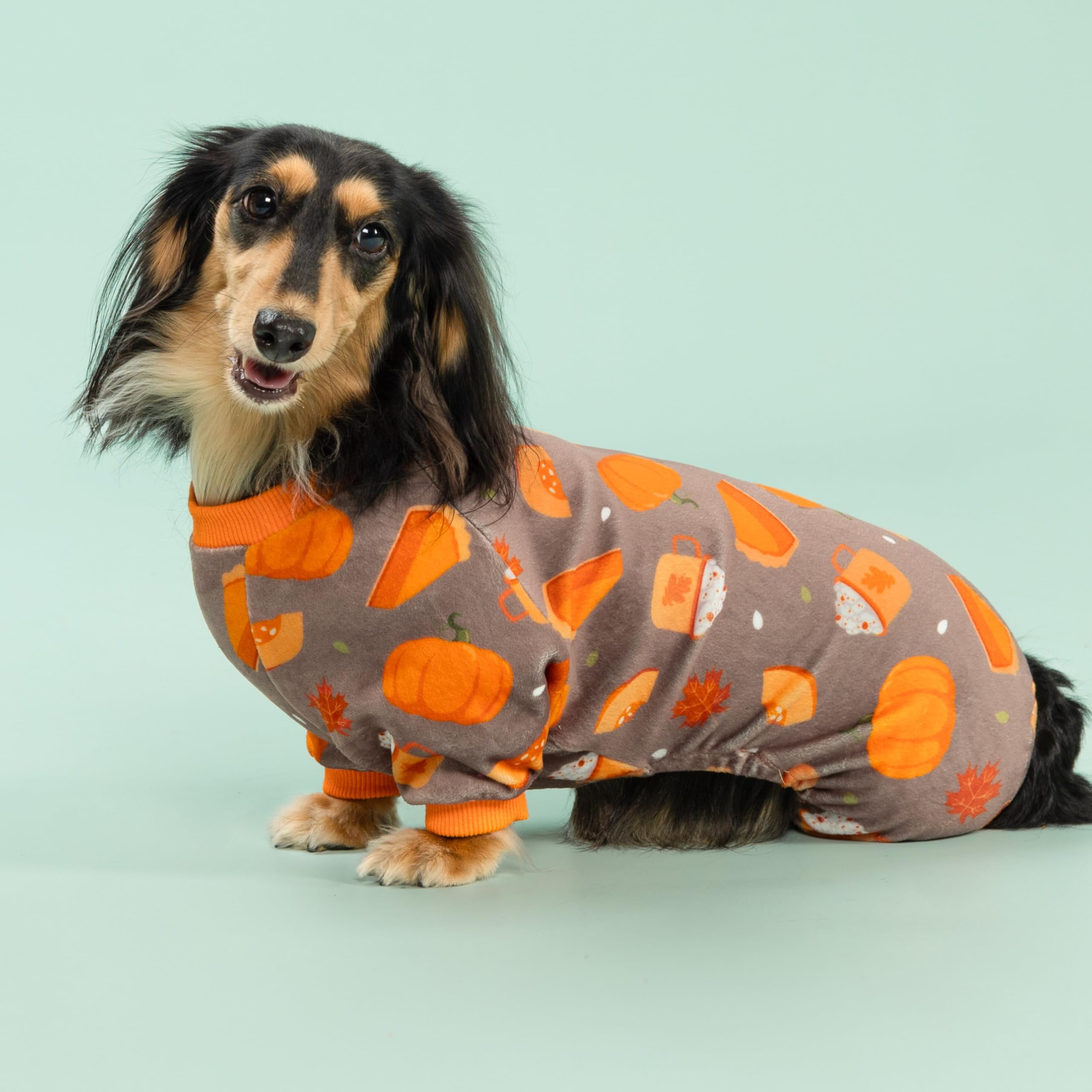 Fitwarm pumpkin dog pajamas side view highlights comfortable fit for daily walks