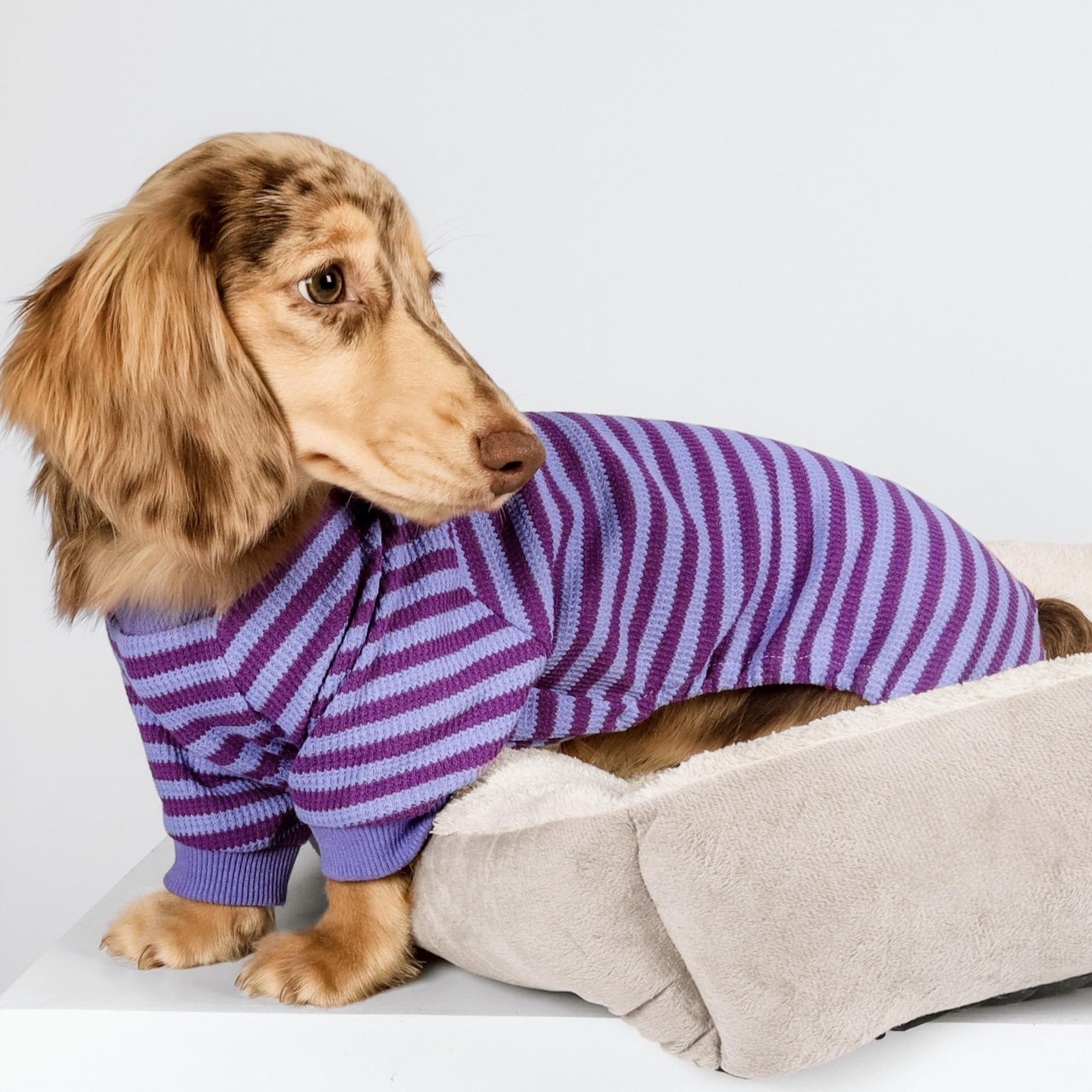 Fitwarm purple striped dog pajamas side pattern detail highlighting flexible stretch for movement