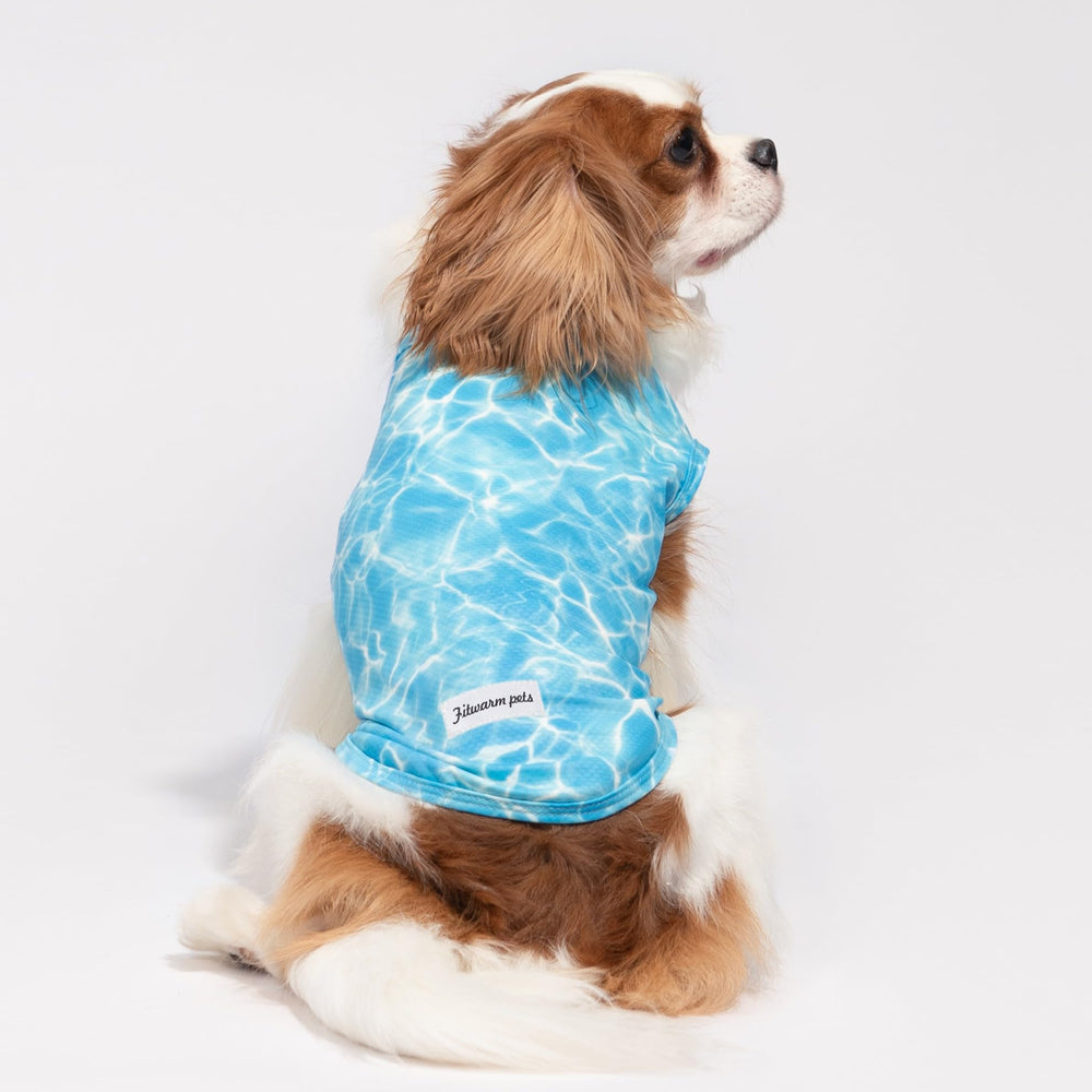 Fitwarm quick-dry mesh dog shirt demonstrates moisture-wicking comfort.