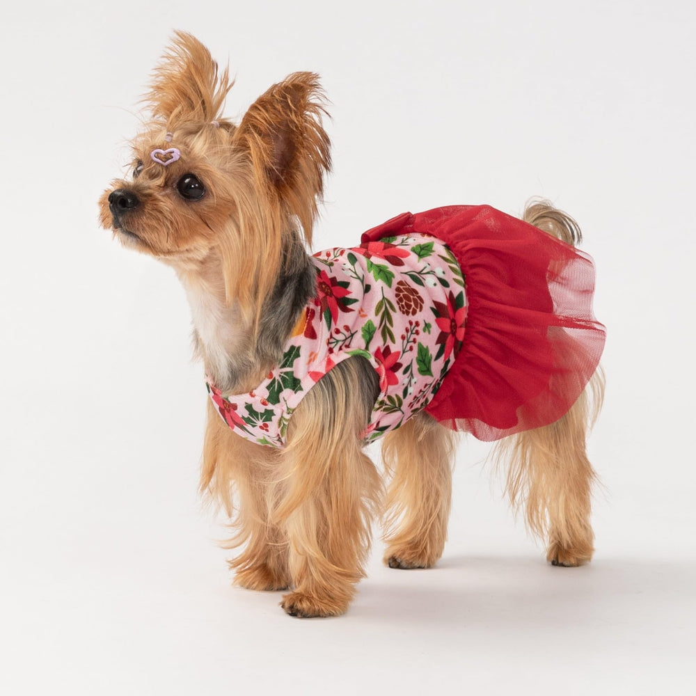 Fitwarm satin bow waist detail, elegant holiday dress for tiny dogs.