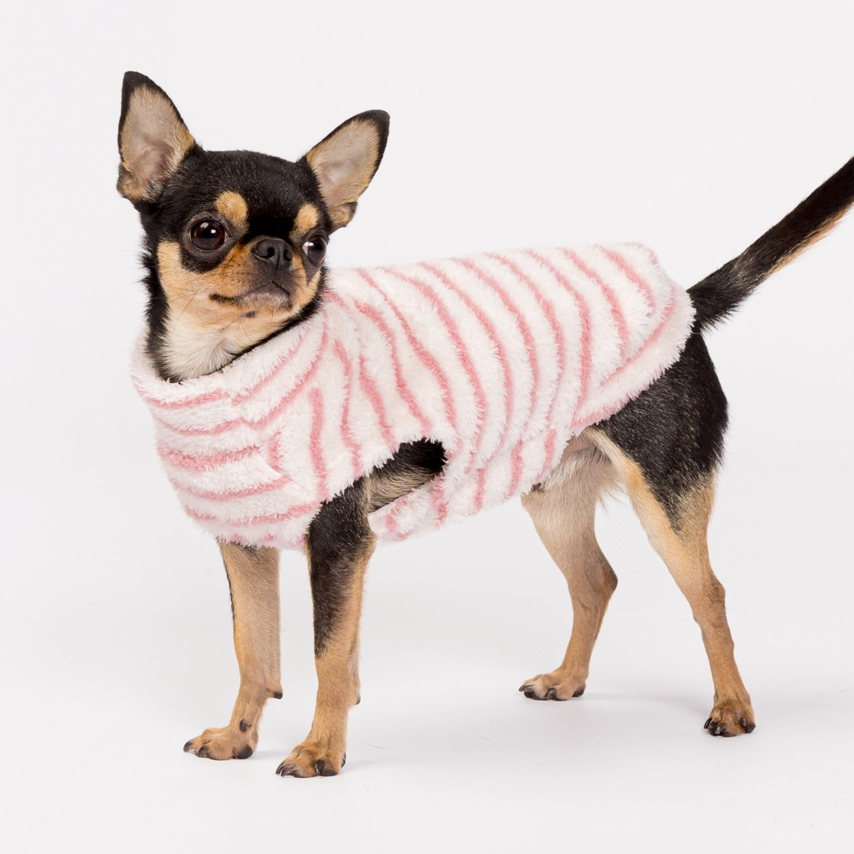 Fitwarm striped white and pink sweater on a small dog model for stylish outings.