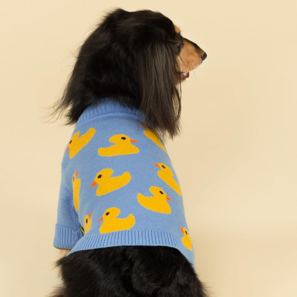 Fitwarm small dog sweater back view blue for all-day warmth