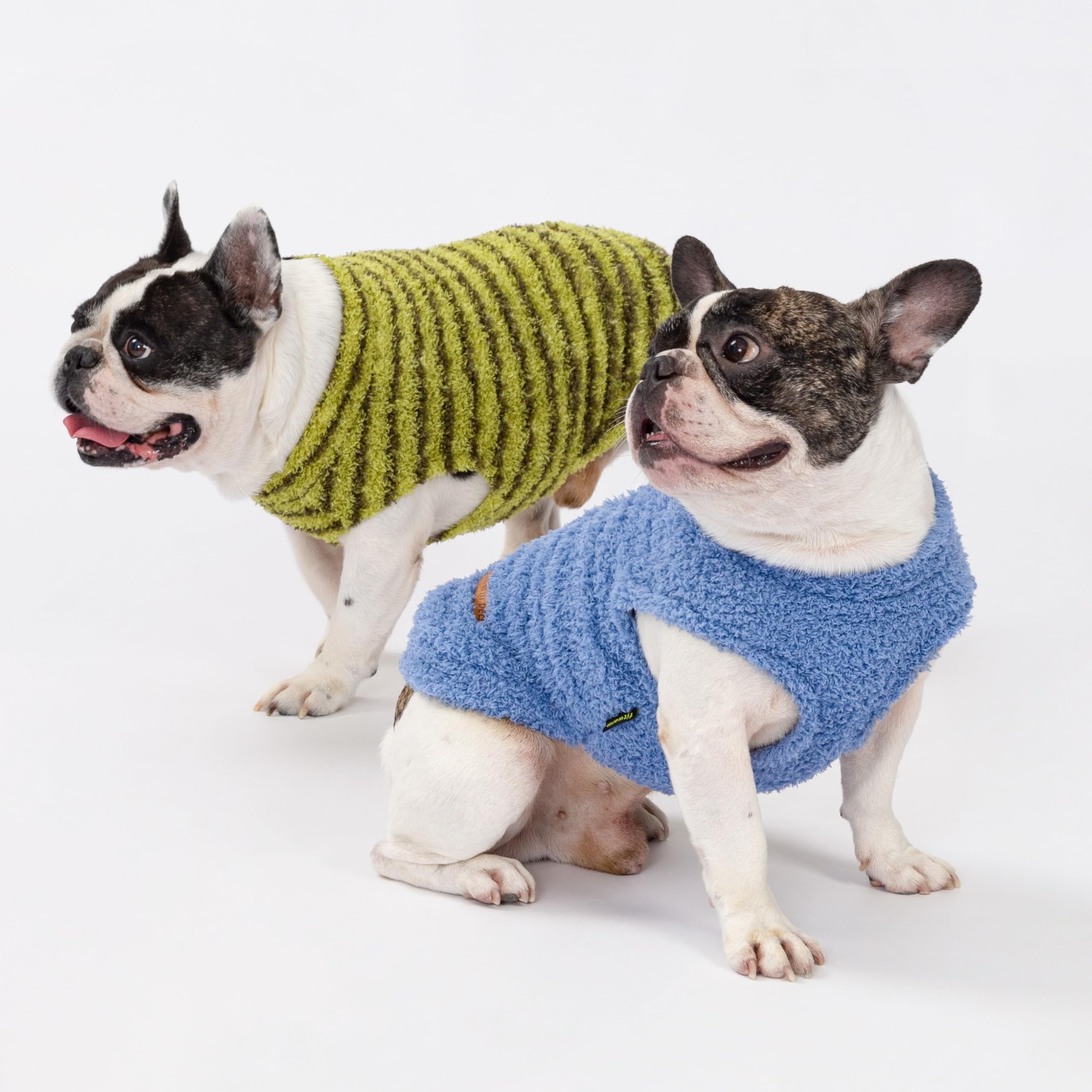 Fitwarm small dog wearing striped sweater during a casual winter walk