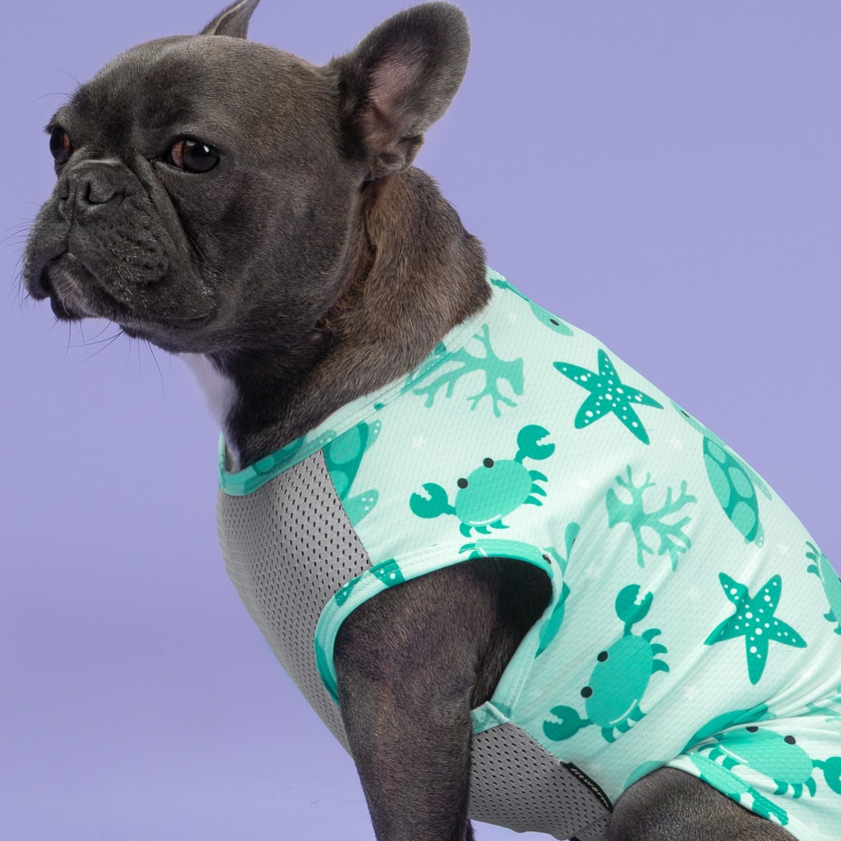 Fitwarm soft breathable fabric keeps pets comfortable.