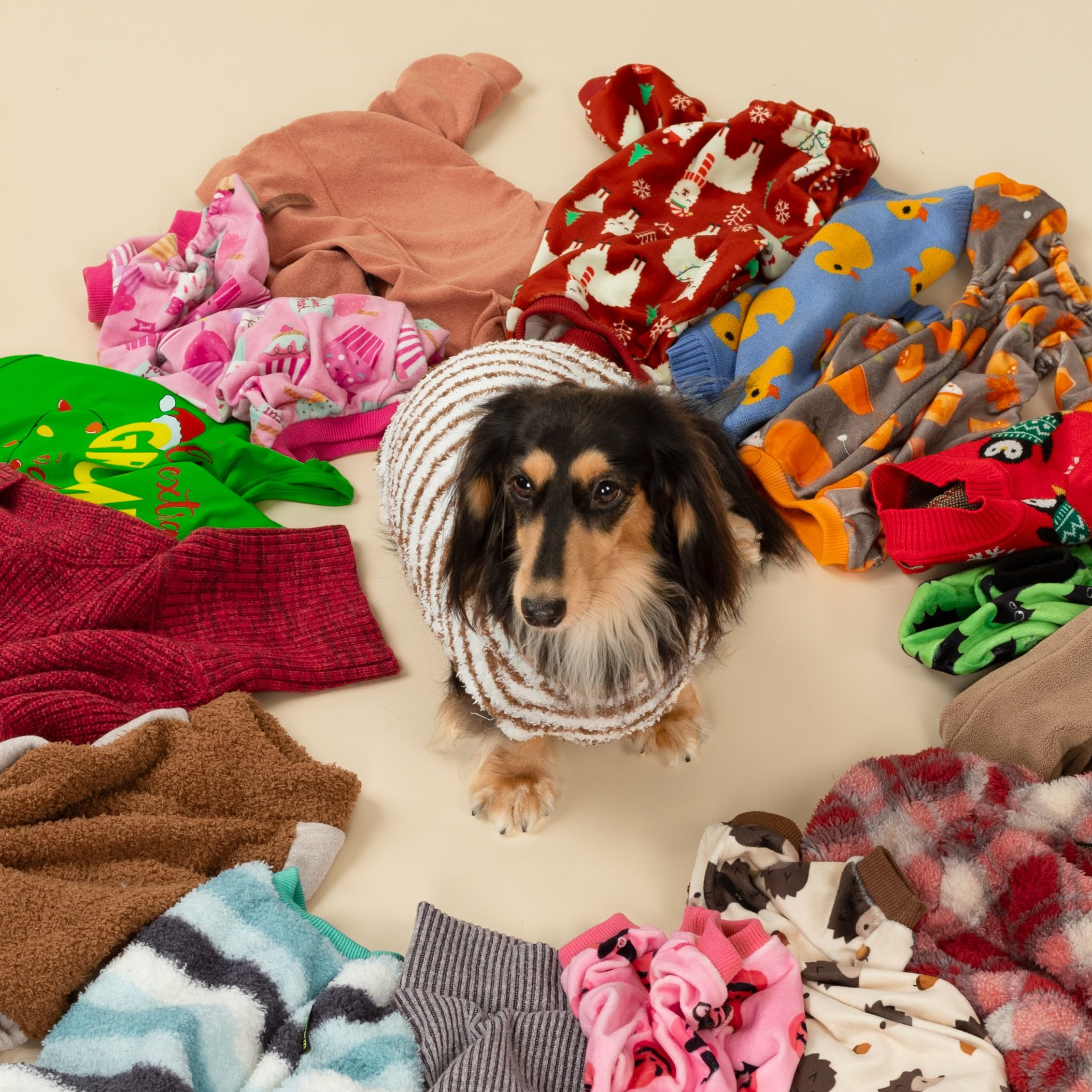 Fitwarm striped dog sweater for park walks offers comfortable mobility.