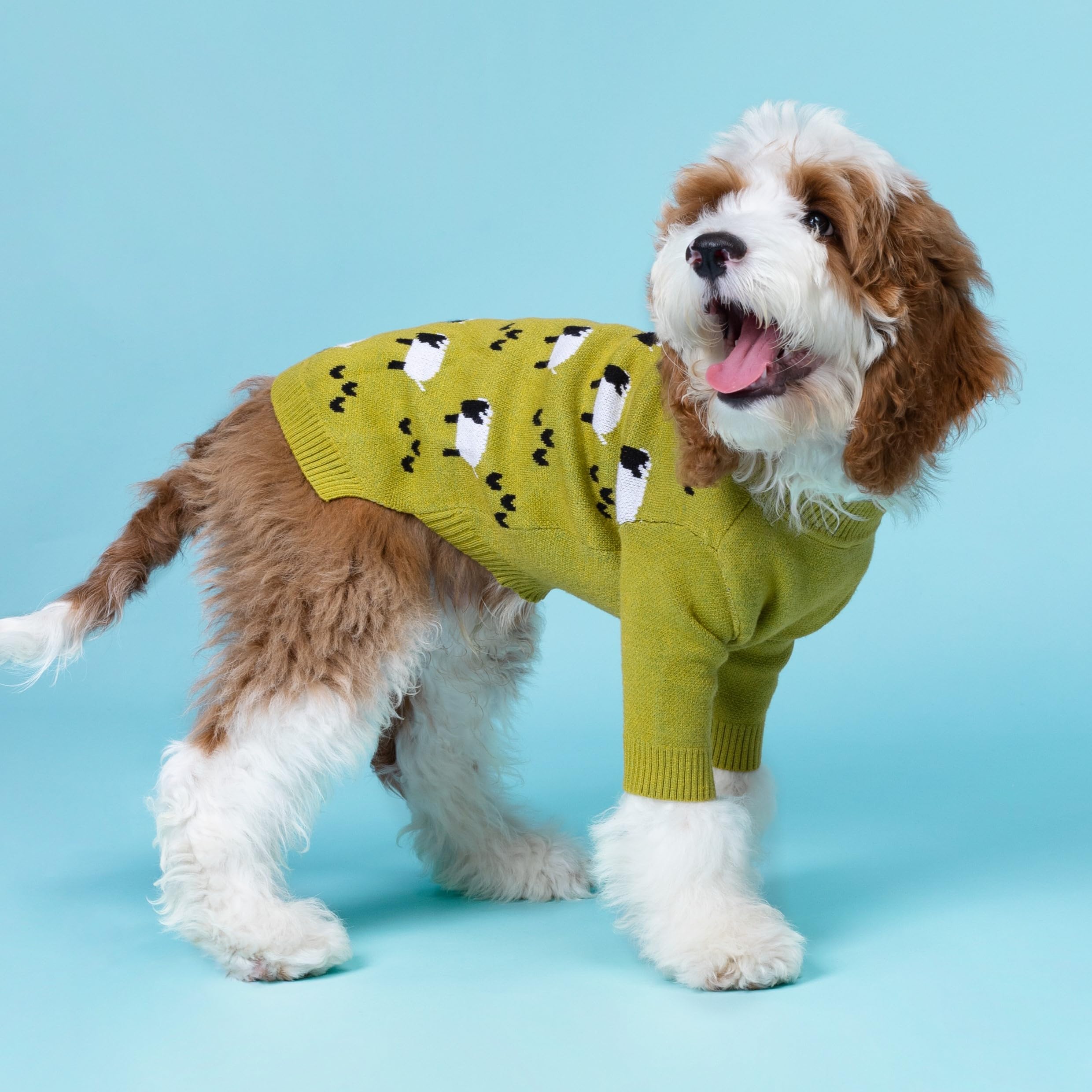 Fitwarm sudadera perro, paso fácil para ponérsela