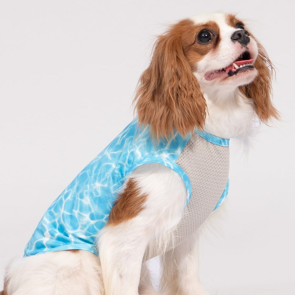 Fitwarm summer dog outfit in teal for beach days.