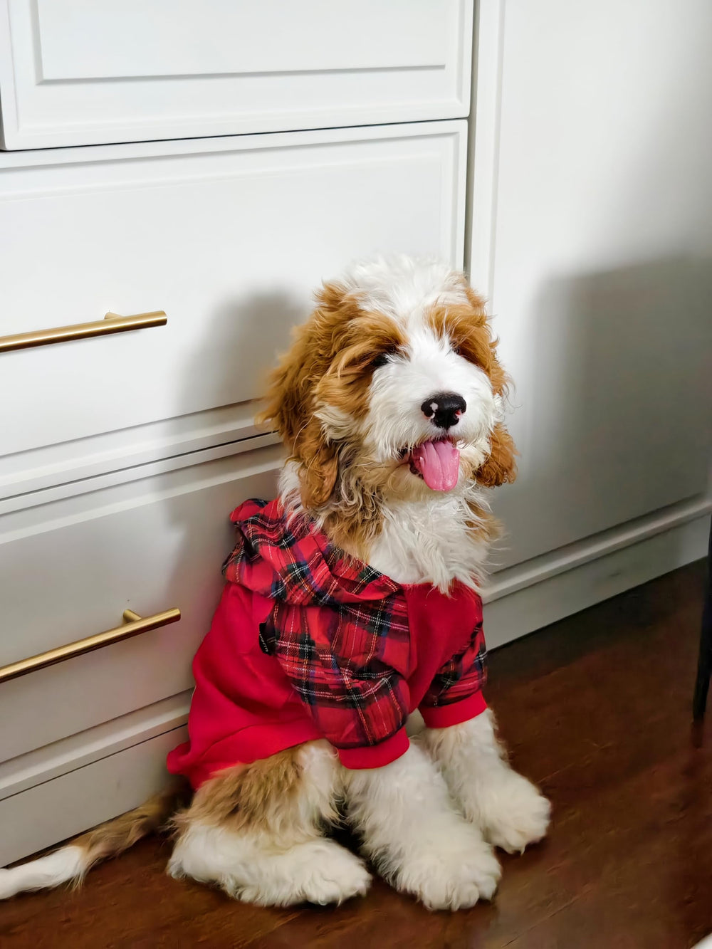 Fitwarm tartan plaid dog hoodie hood closeup, soft inner feel and secure fit