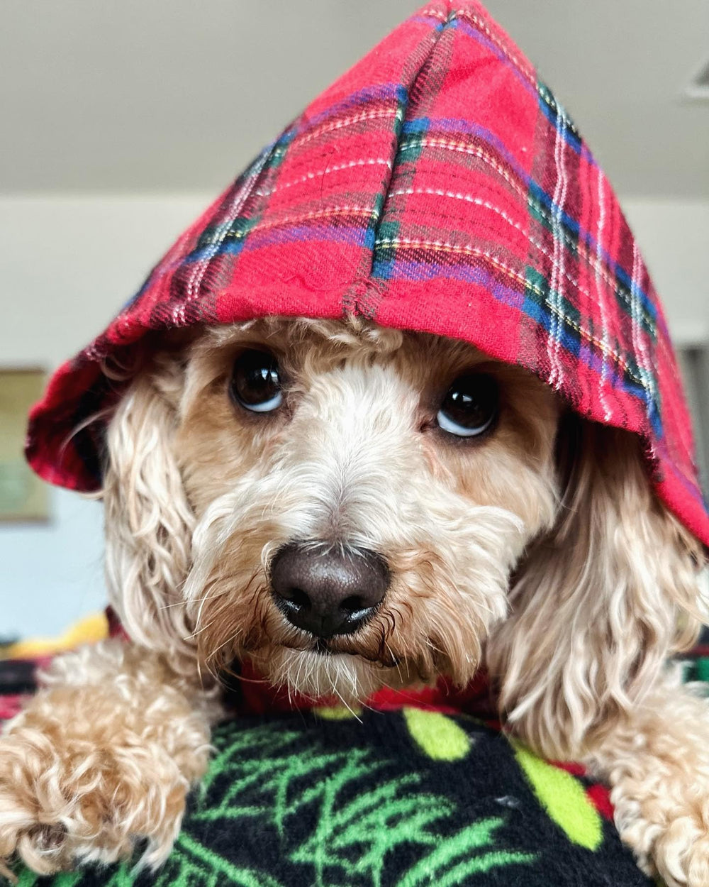 Fitwarm tartan plaid dog hoodie side view, easy on/off design for small dogs